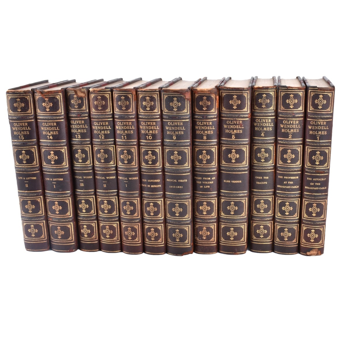 Oliver Wendell Holmes 12 Leather Hardback Books