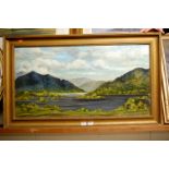 Early 20th century school - Mountain Lake scene, oil on canvas, 45 x 85cm