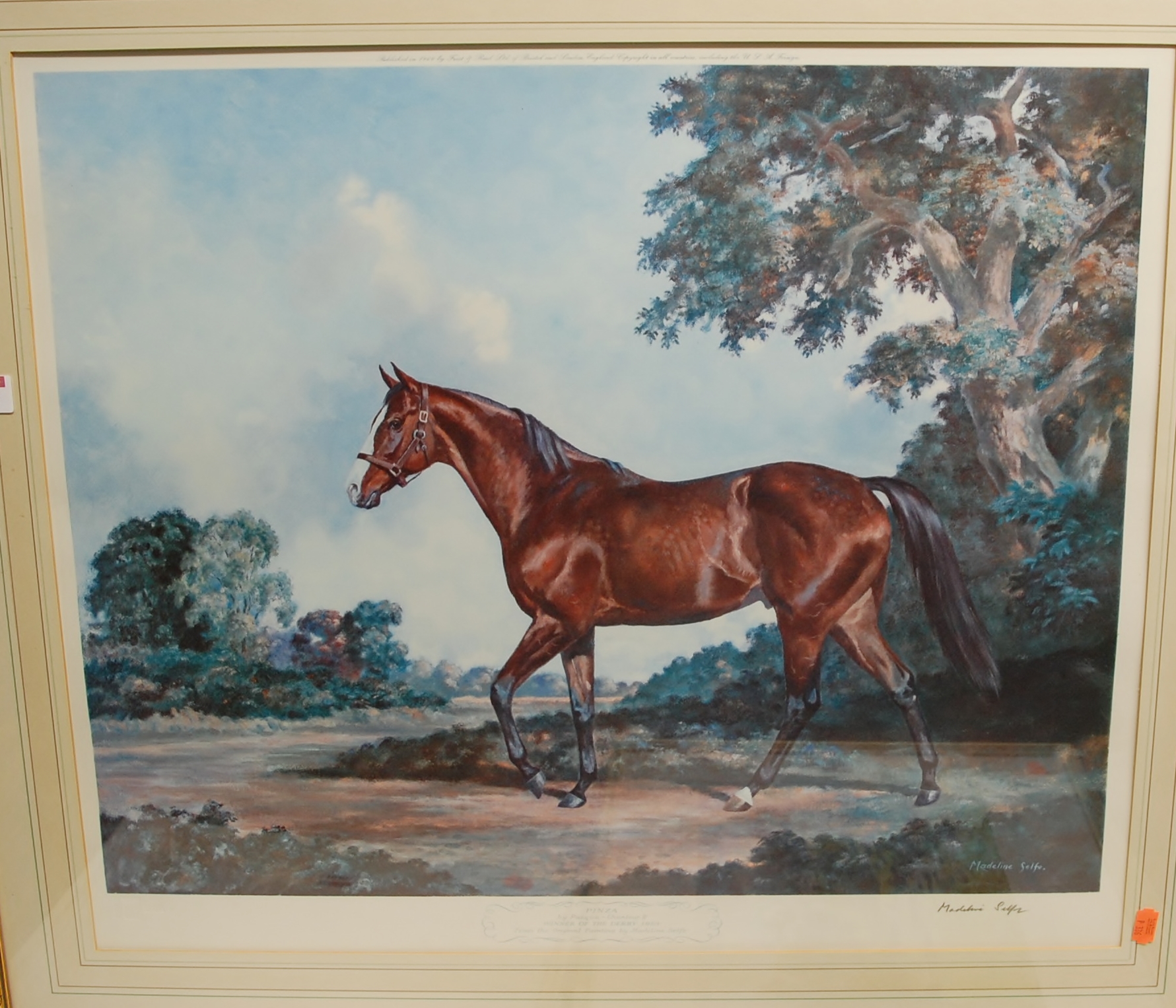 Madeleine Selfe - Pinser, winner of the Derby 1953, lithograph, signed in pencil to the margin,