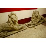 A pair of large and impressive reconstituted stone recumbent lions, h.69cm, length 125cm