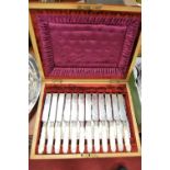 An Edwardian mahogany cased canteen of silver plated fish cutlery each having a mother of pearl