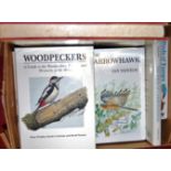 The Sparrow Hawk, Newton 1986, first edition, and other modern ornithology titles (10 in total)
