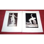 A single box of early 20th century photographic bookplates