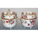 A pair of 19th century Copelands ice pails and covers each of circular form with twin handles, the