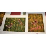 Terry Andrewartha - Five various original wildlife photographs, each signed, some numbered and