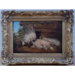 Early 19th century Dutch school - Hogs in their pen, oil on panel, 19.5 x 29cm