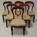 A set of six Victorian mahogany balloon back dining chairs, each having an open back above a