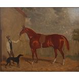 W.J. Gilbert (act.1830-1870) - Study of a bay thoroughbred with trainer, oil on panel,monogrammed