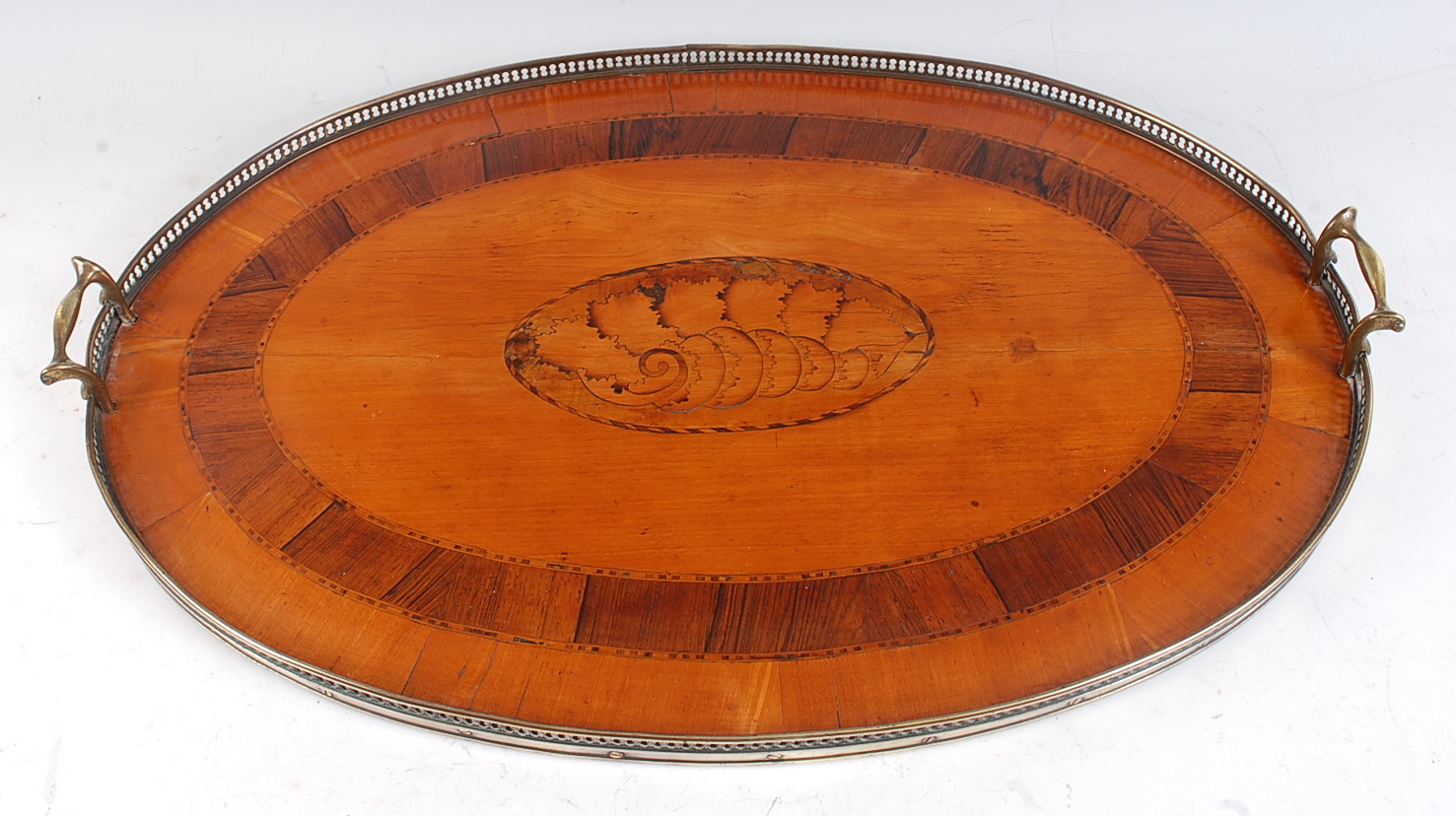 A 19th century satinwood, rosewood crossbanded and conch-shell marquetry inlaid tray, having a