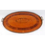 A 19th century satinwood, rosewood crossbanded and conch-shell marquetry inlaid tray, having a
