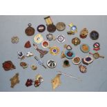 A collection of miscellaneous enamelled lapel badges and bar brooches, to include Reading Bowling