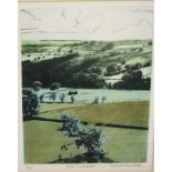 Frances St Clair Miller - Fields in Swaledale, lithograph, signed, titled and numbered in pencil