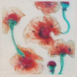 Contemporary Scottish School - Poppies, lithograph printed in colours on wove paper, indistinctly