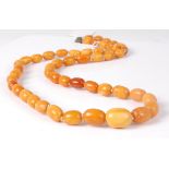 A beaded and graduated butterscotch amber necklace, the graduated barrel beads on a single knotted