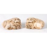 A pair of Chinese carved bone Foo Dogs, each in recumbent pose with a ball beneath one paw,