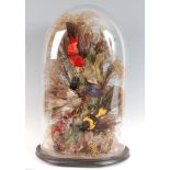 A Victorian taxidermy group of seven exotic birds, mounted in a naturalistic setting, beneath a