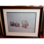 Terry Andrewartha - quantity of original wildlife photographs, to include polar bears, elephants,