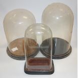 Three various Victorian glass domes, with ebonised bases, the largest h.40cm