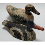 Two wooden painted decoy ducks