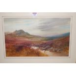 John Shapland (1865-1929) - A Devon landscape, watercolour, signed lower left, 28 x 46cm