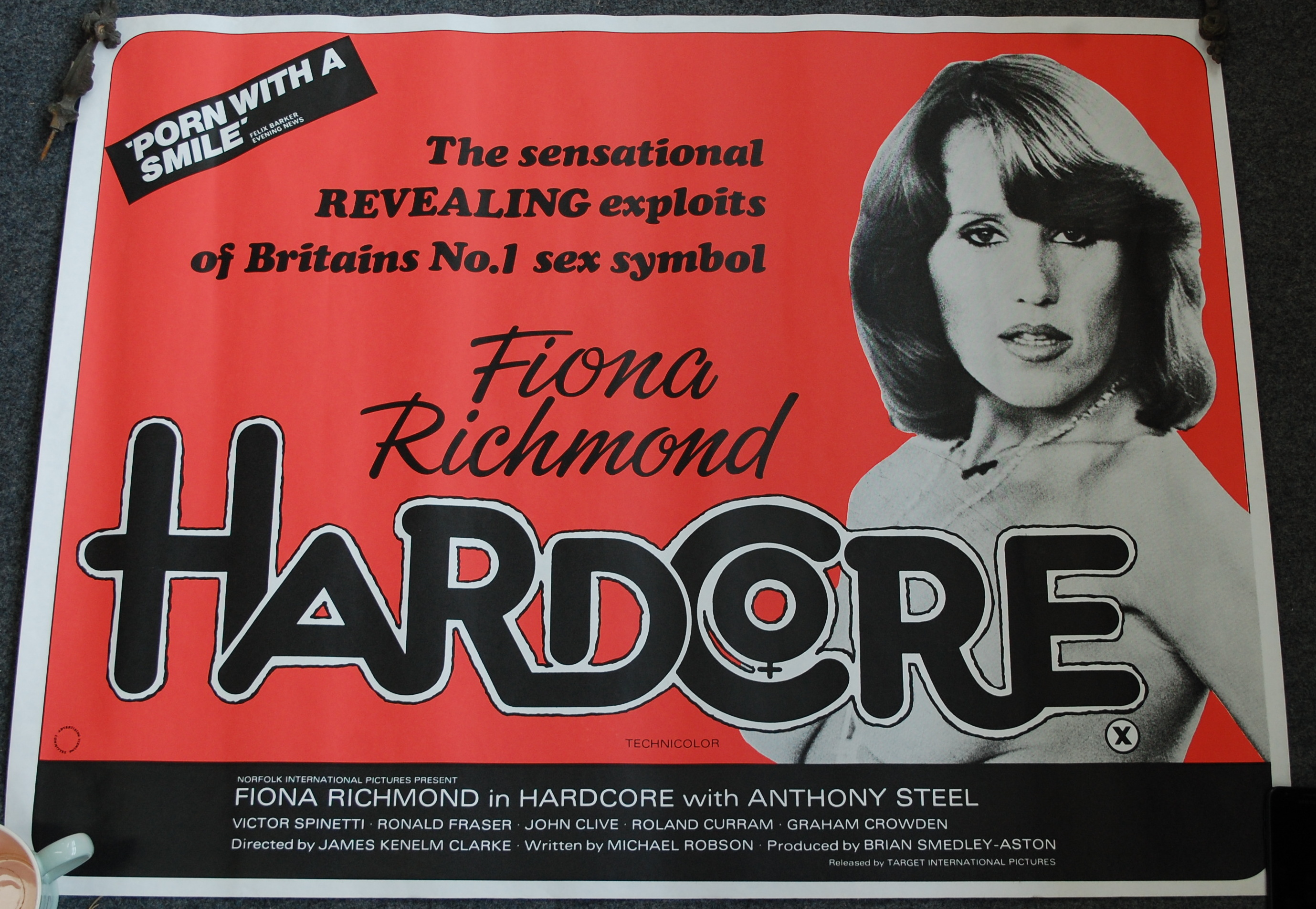 A UK quad poster for the 1976 film Expose