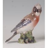 A Dahl Jensen Copenhagen porcelain model of Jay, perched on acorn leaf outcrop, stamped marks and