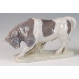 A Royal Copenhagen large porcelain model of a Bull, head down and pawing the ground, designed by