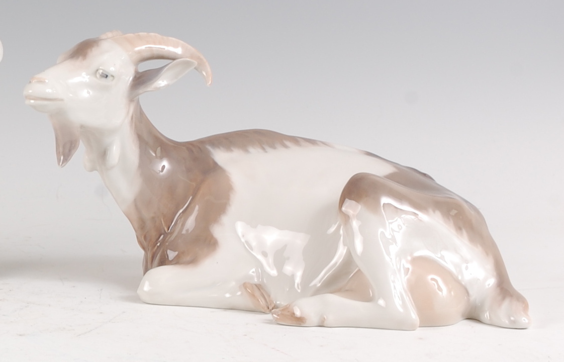 A Royal Copenhagen porcelain model of a recumbent Goat, designed by Christian Thomsen, printed