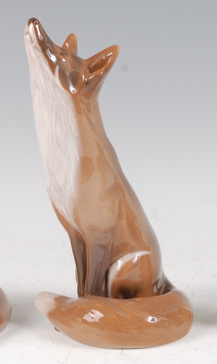 A Royal Copenhagen large porcelain model of a seated Fox, looking up, printed backstamp and numbered