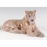 A Royal Copenhagen large porcelain model of a Lioness, modelled in recumbent pose, printed backstamp