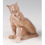 A Royal Copenhagen porcelain model of a young Leopardess, in seated pose washing her rear left