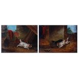 A Blake - Pair; Terriers Ratting, oil on canvas, each signed and dated 1885 lower left, 17 x 22cm