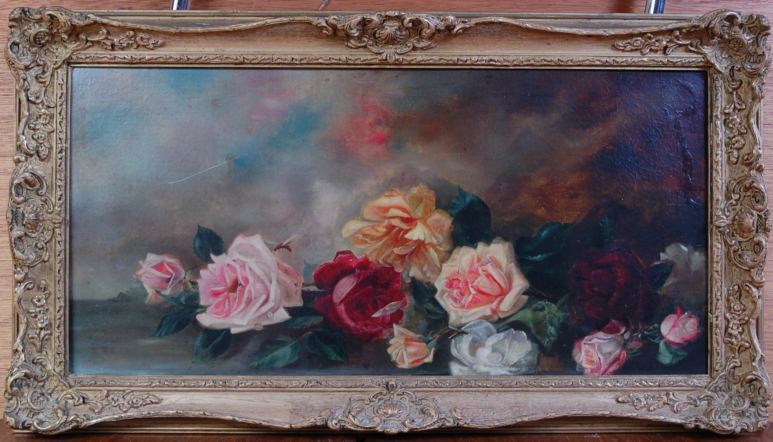 Early 20th century English school - Still life with cabbage roses and insects, oil on canvas (re-