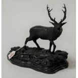 After Mene, bronze stag on marble plinth, height 30cm