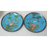 A pair of Japanese cloisonne enamel decorated plates, dia.30.5cm