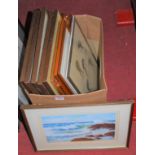 Box of assorted pictures and prints to include Redoute botanical examples