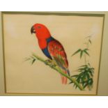 A large quantity of reproduction prints of birds, to include parrots and other exotic species, all