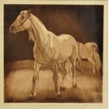 Elizabeth Moriarty - Liberty Horses, Zippo's Circus, etching, signed, titled and numbered 2/50 in