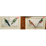 A set of six colour engravings, each depicting exotic birds in their habitat; together with other