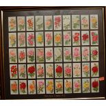 Four framed displays of Will's Roses cigarette cards, various years