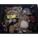 Assorted costume jewellery, to include paste set duck brooch and various neck chains, pendant, ear