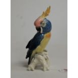 An early 20th century Karl Ens porcelain figure of a cockatiel, having blue printed mark verso, h.