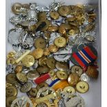 A box of various military cap badges (re-strikes), military buttons, medal ribbons etc