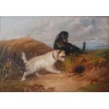 J. Langlois (1855-1904) - Terriers rabbiting, oil on canvas (re-lined), signed lower left, 23.5 x