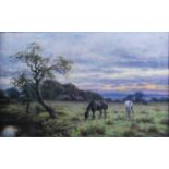 Joseph Dixon Clark (1849-1944) - Horses grazing at sunset, oil on canvas, signed lower right, 30 x
