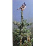 Terance James Bond (b.1946) - Crested Titmouse, acrylic, signed lower left and further signed to