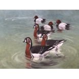 John Rogers, oil painting showing red breasted geese and Pochards, 74 x 59 cm