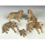 Five Border Fine Arts golden retriever figurines