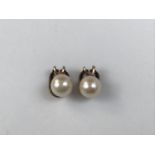 A pair of yellow-metal and pearl ear clips, pearls each approximately 8.5 mm, tests as gold
