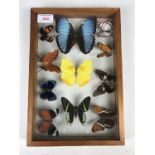 Vintage framed butterflies